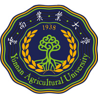 大学社团怎么选更适合自己:兴趣、能力与时间管理建议 大学社团怎么选更适合自己:兴趣、能力与时间管理建议